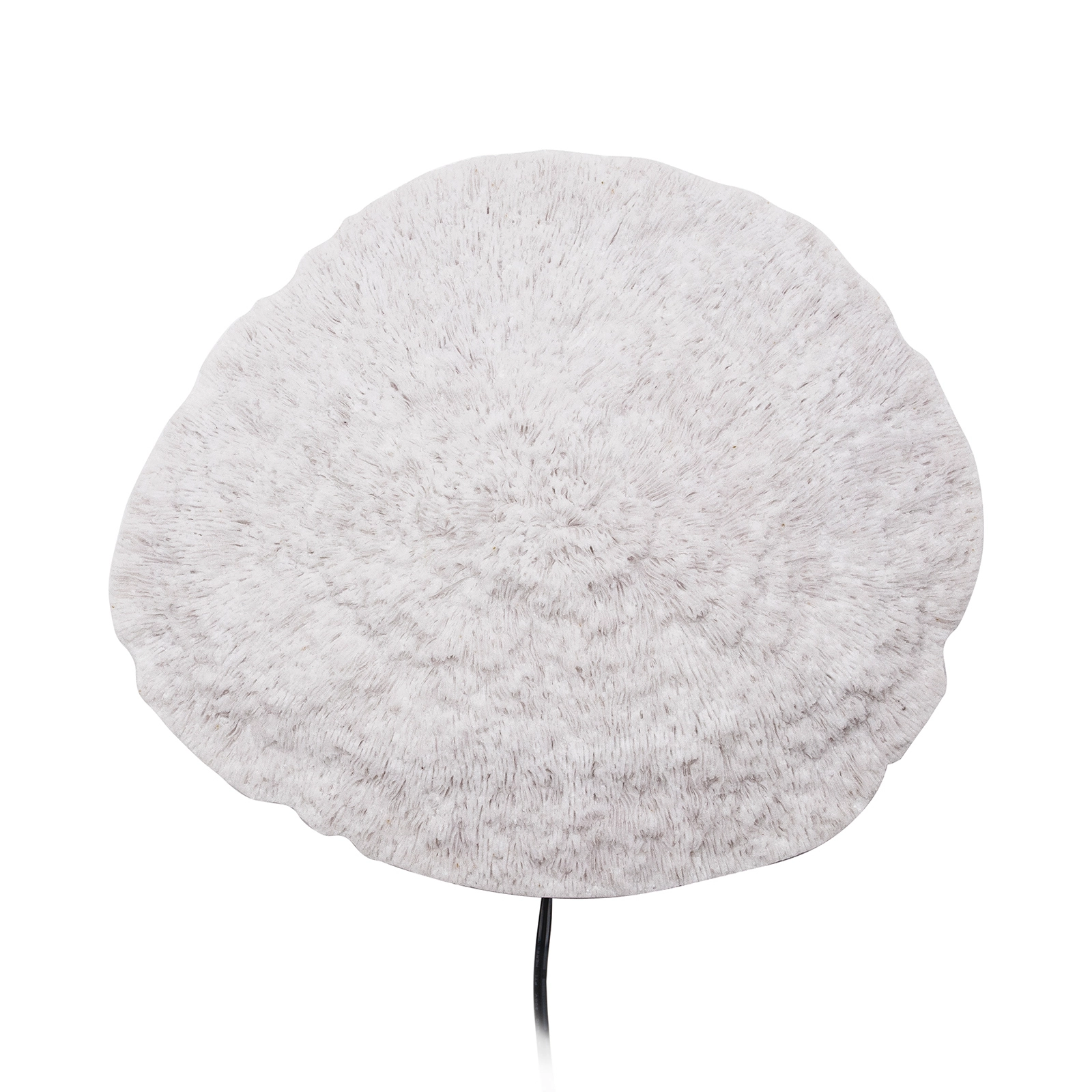 Globen Lighting Nemo Seinävalaisin Valkoinen 3 Globen Lighting Nemo Seinävalaisin Valkoinen