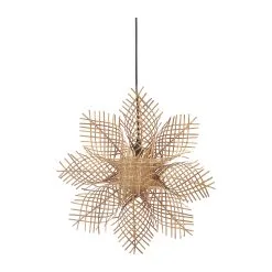 PR Home Carol Adventtitähti Luonto