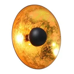 By Rydens Captain Seinävalaisin